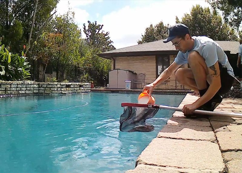 pool maintenance project in Leesburg